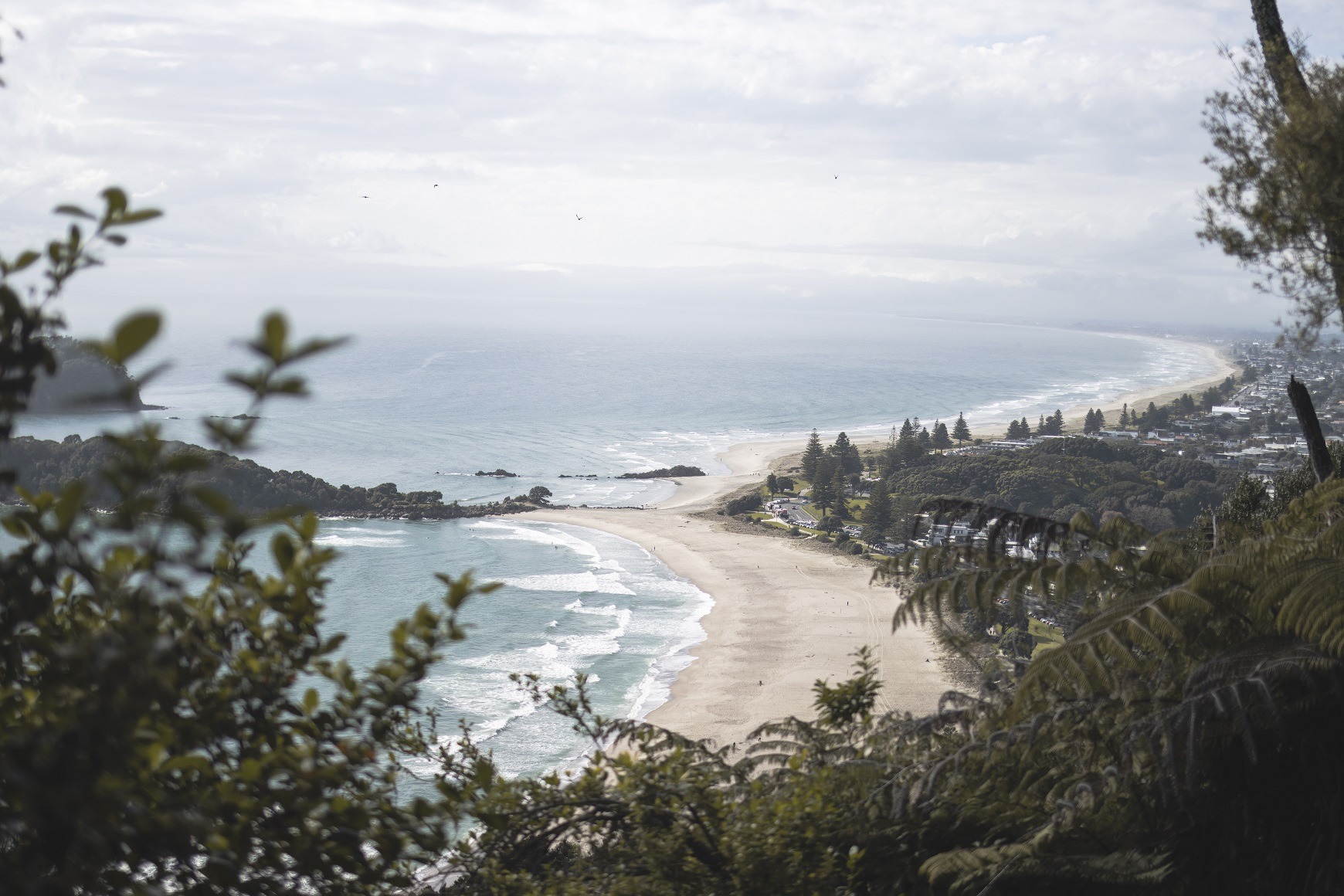 Photo of Mt Maunganui beach from the top of the Mount Maunganui hiking trail