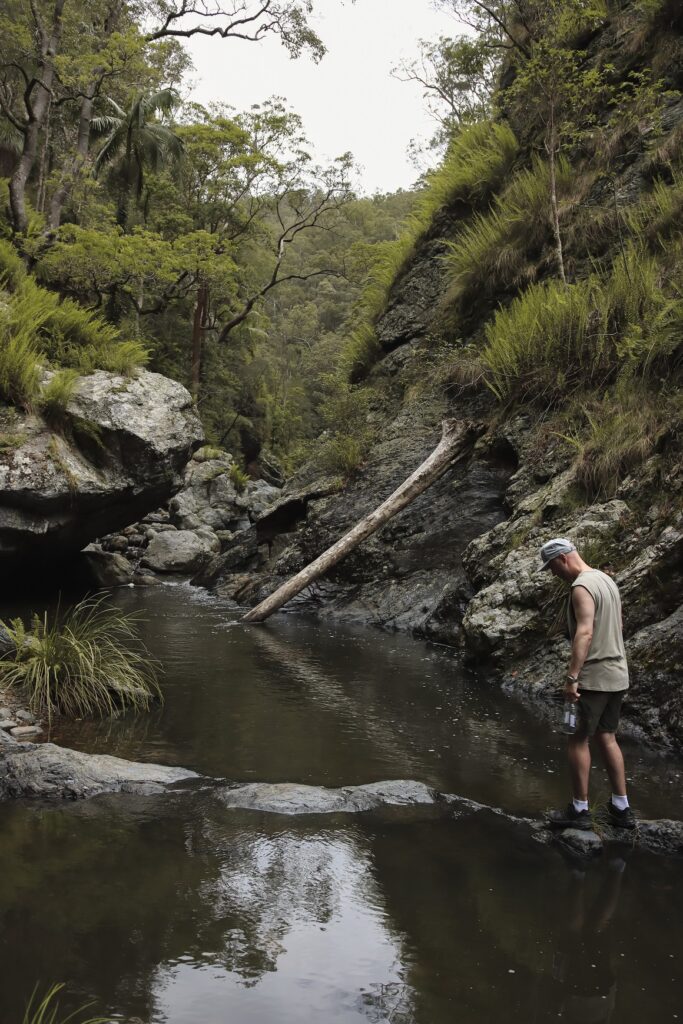 Things to do in Brisbane: Explore Northbrook Gorge