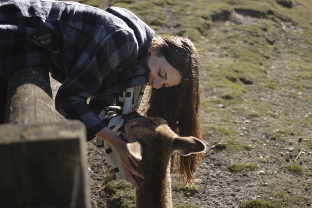 LoveYaGuts Travel Amazing Queenstown Travel Guide 2026