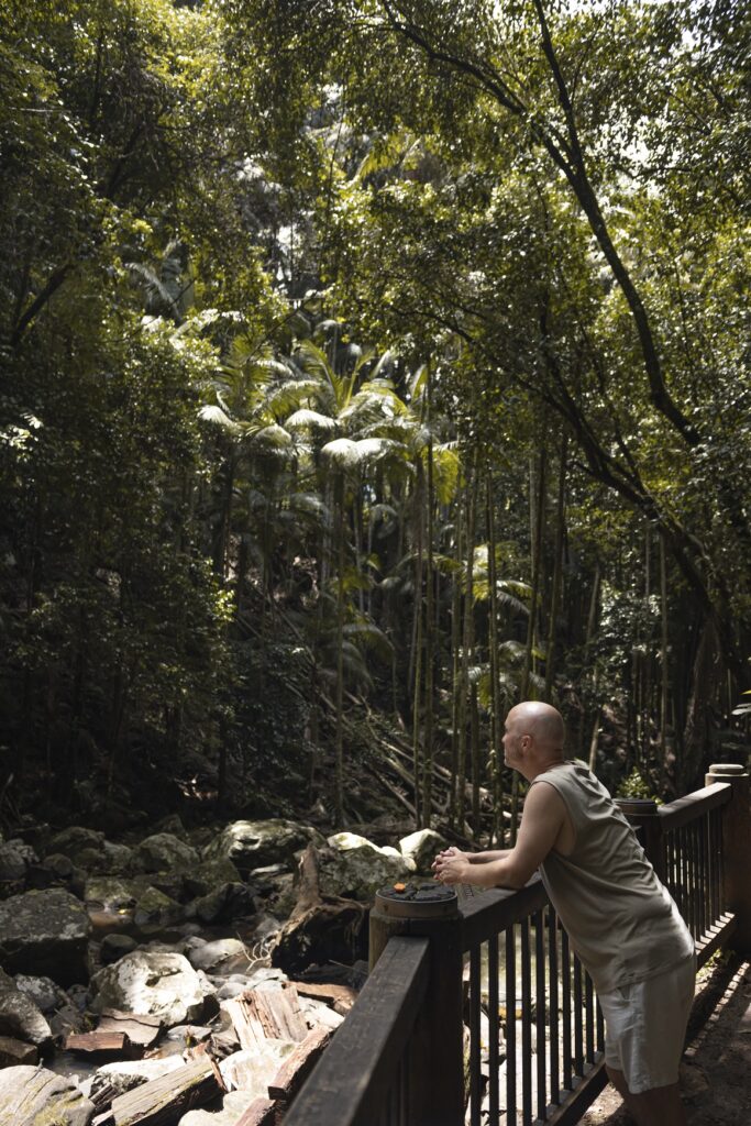 Road trips from Brisbane: A man is leaning against a railing looking out towards dense bush and a waterfall that is out of shot.
