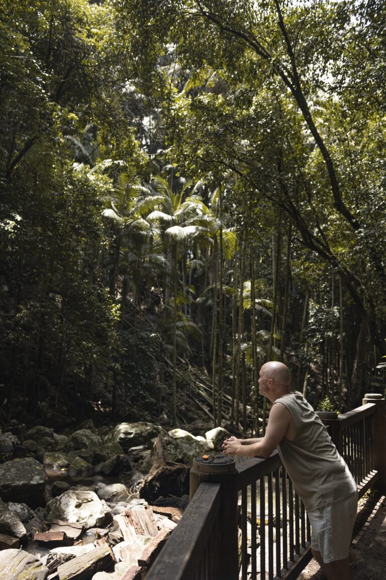 A man is leaning against a railing looking out towards dense bush and a waterfall that is out of shot.