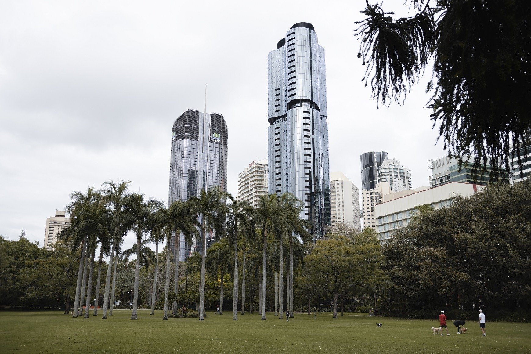 Perfect 3 Day Brisbane Weekend Getaway: This photo shows a large grassy field surrounded by palm trees and sky scraper buildings in Brisbane's CBD.