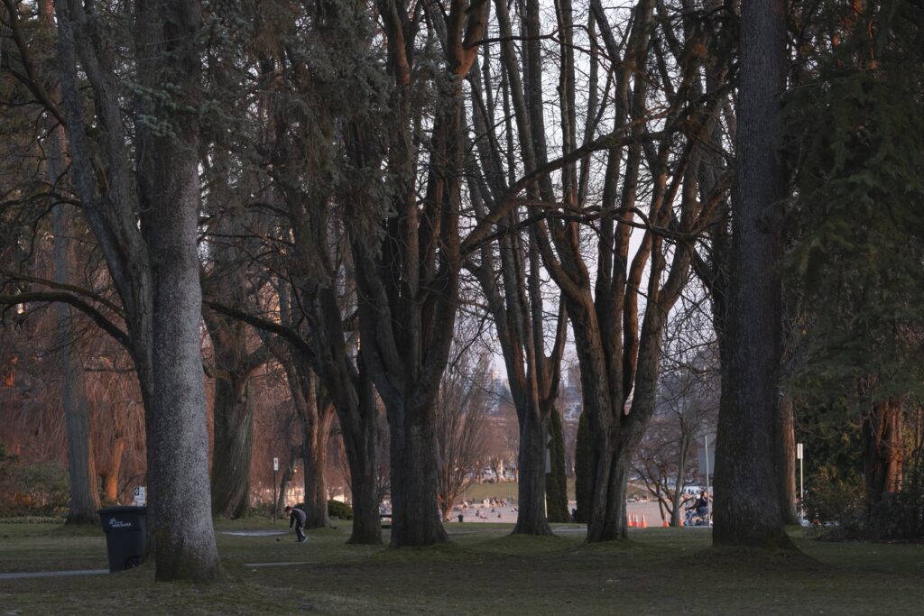 LoveYaGuts Travel The Ultimate Vancouver Travel Guide 2026