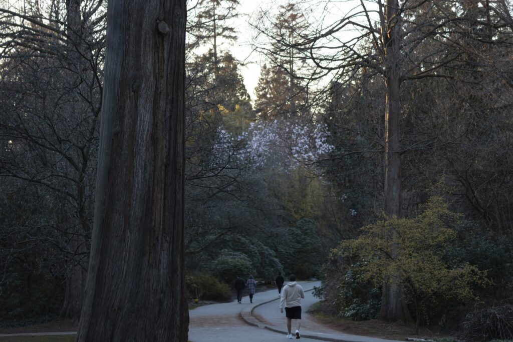 LoveYaGuts Travel The Ultimate Vancouver Travel Guide 2026