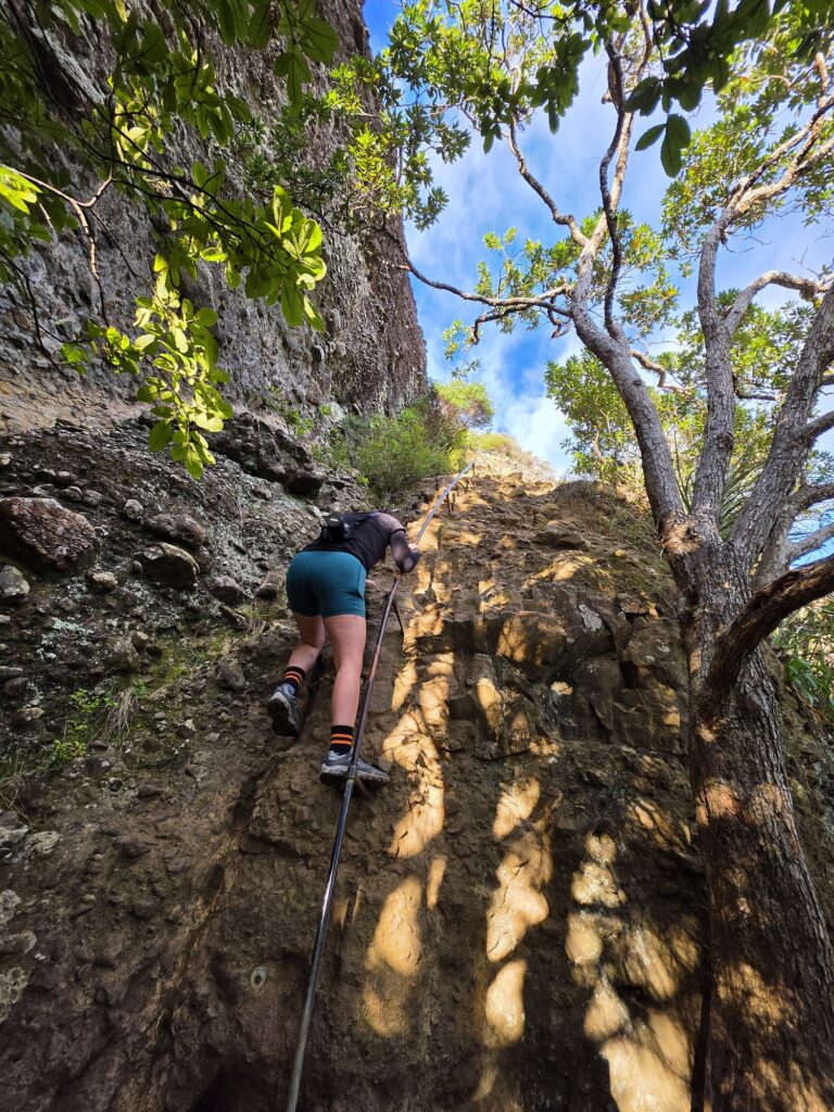 Dukes Nose Hiking Trail Guide – Best Hikes in Northland Climbing to Dukes Nose lookout via the rock wall