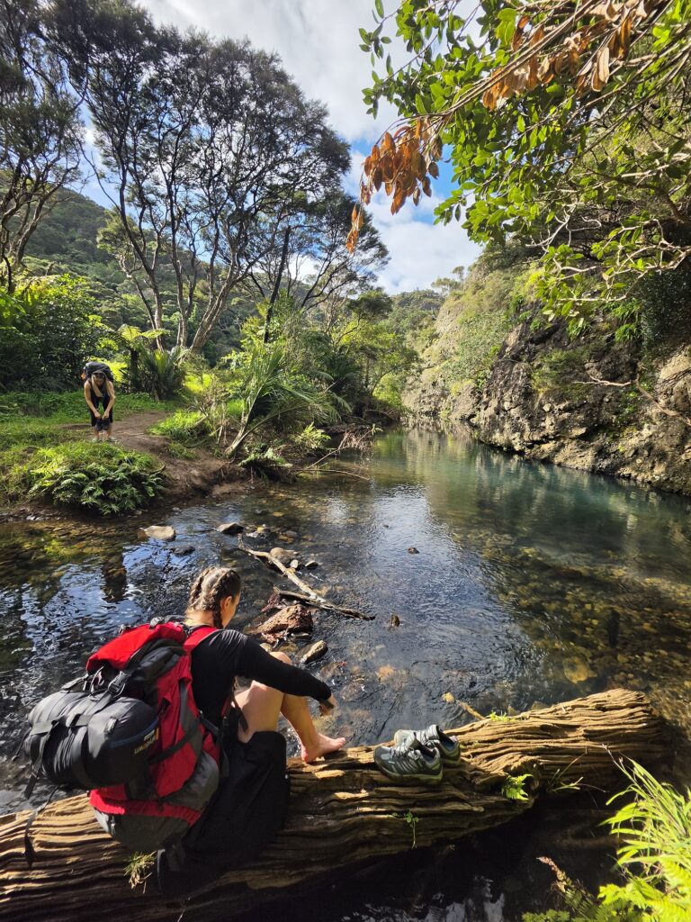 Dukes Nose Hiking Trail Guide – Best Hikes in Northland Woman sitting on a log waiting to cross the Wairakau stream, to hike Dukes Nose in Northland