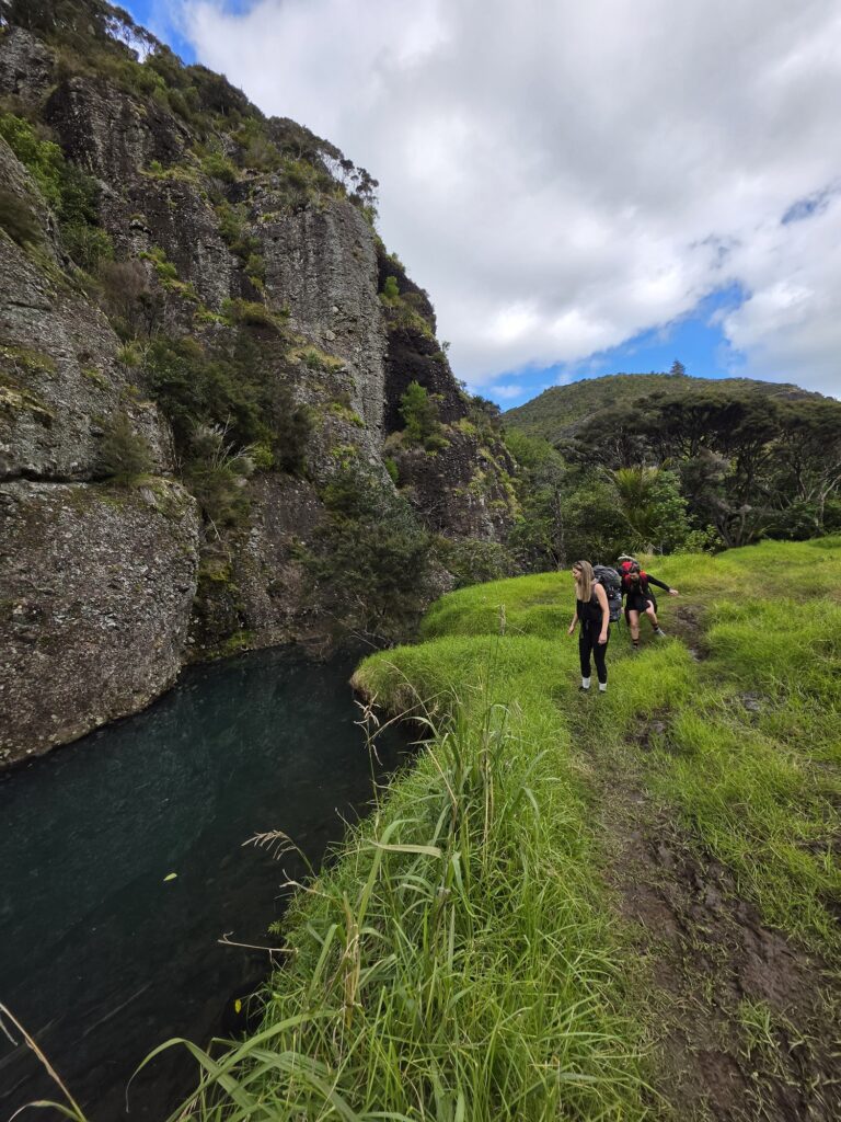 Dukes Nose Hiking Trail Guide – Best Hikes in Northland Two woman walking along the boggy grass along Wairakau Stream track
