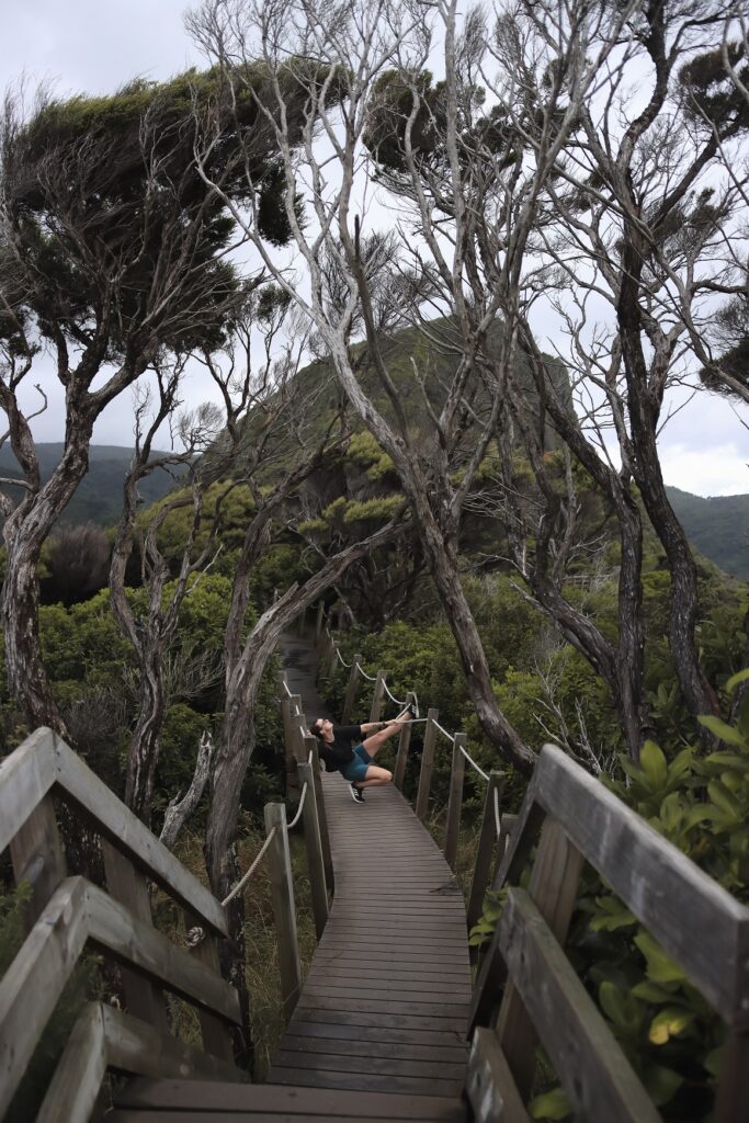Hiking Omanawanui Track: A Must-Do Auckland Hike A woman posing on a wooden bridge at Omanawanui track.